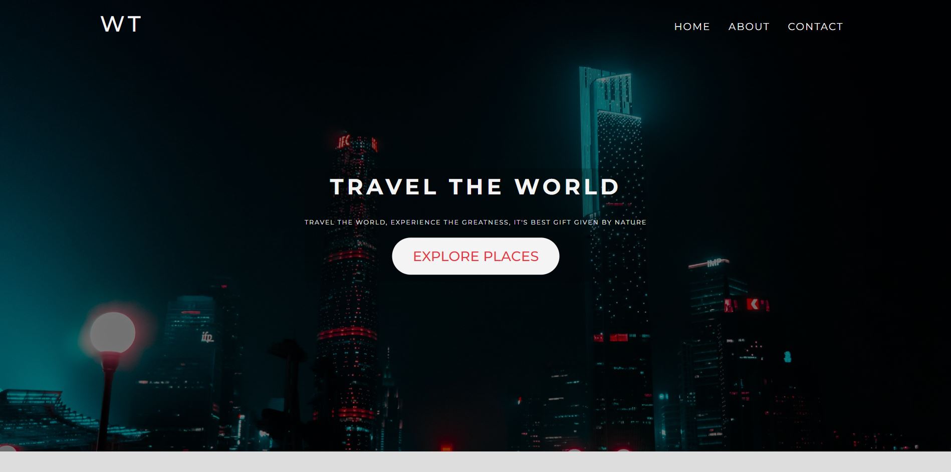 Travel Website